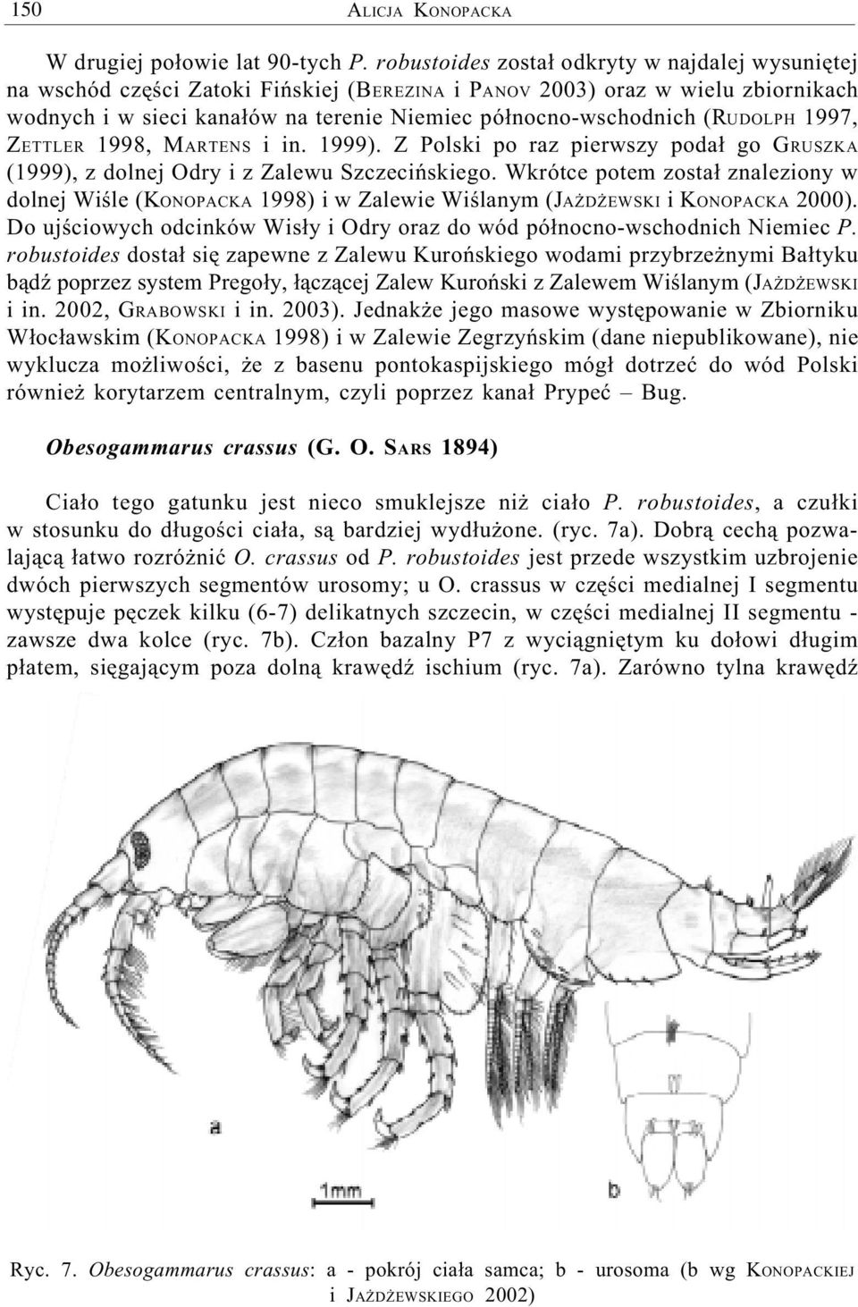 (RUDOLPH 1997, ZETTLER 1998, MARTENS i in. 1999). Z Polski po raz pierwszy poda³ go GRUSZKA (1999), z dolnej Odry i z Zalewu Szczeciñskiego.