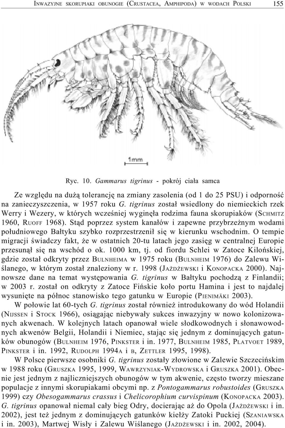 tigrinus zosta³ wsiedlony do niemieckich rzek Werry i Wezery, w których wczeœniej wyginê³a rodzima fauna skorupiaków (SCHMITZ 1960, RUOFF 1968).