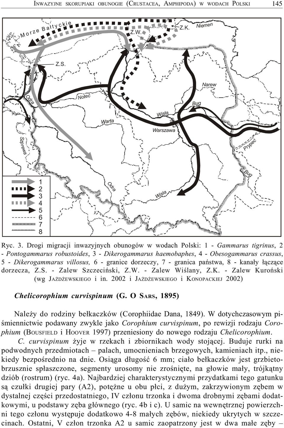 - granice dorzeczy, 7 - granica pañstwa, 8 - kana³y ³¹cz¹ce dorzecza, Z.S. - Zalew Szczeciñski, Z.W. - Zalew Wiœlany, Z.K. - Zalew Kuroñski (wg JA D EWSKIEGO i in.