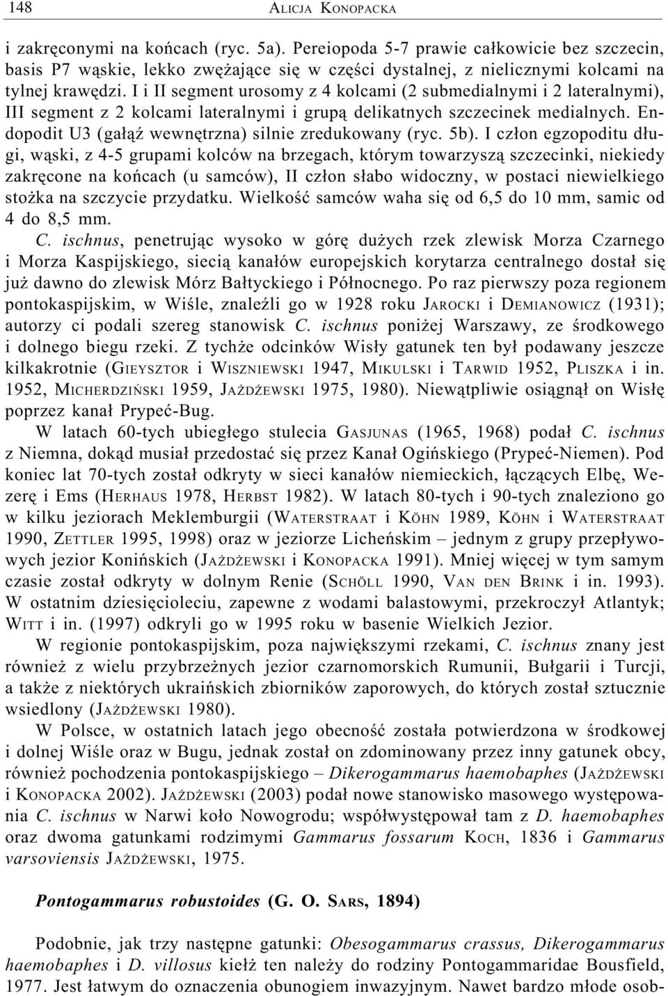 I i II segment urosomy z 4 kolcami (2 submedialnymi i 2 lateralnymi), III segment z 2 kolcami lateralnymi i grup¹ delikatnych szczecinek medialnych.