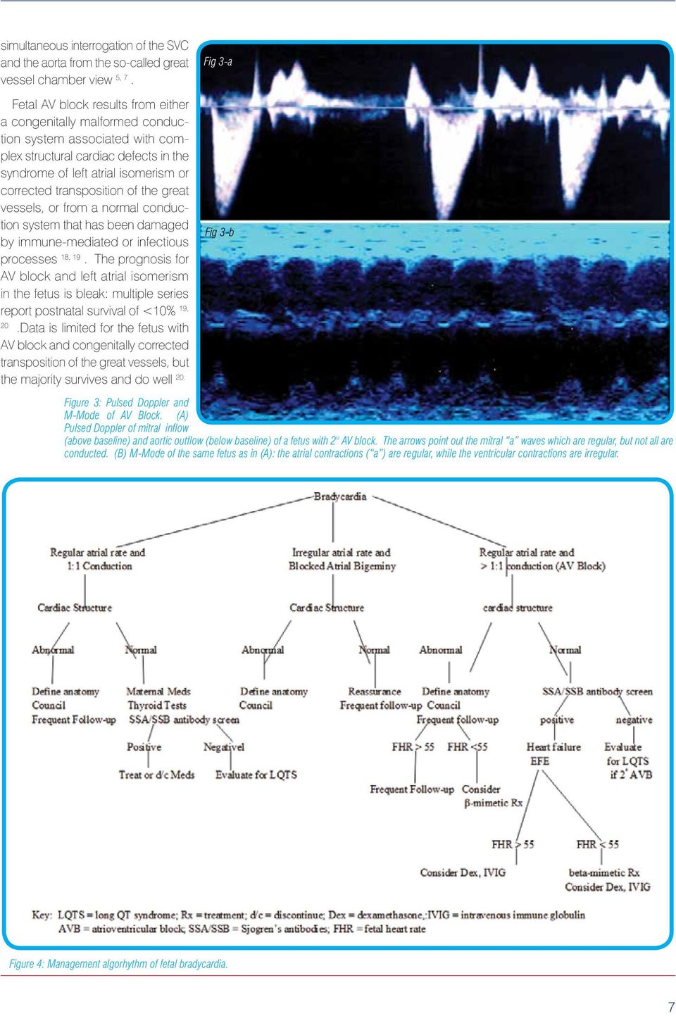 the great vessels, or from a normal conduction system that has been damaged by immune-mediated or infectious processes 18, 19.
