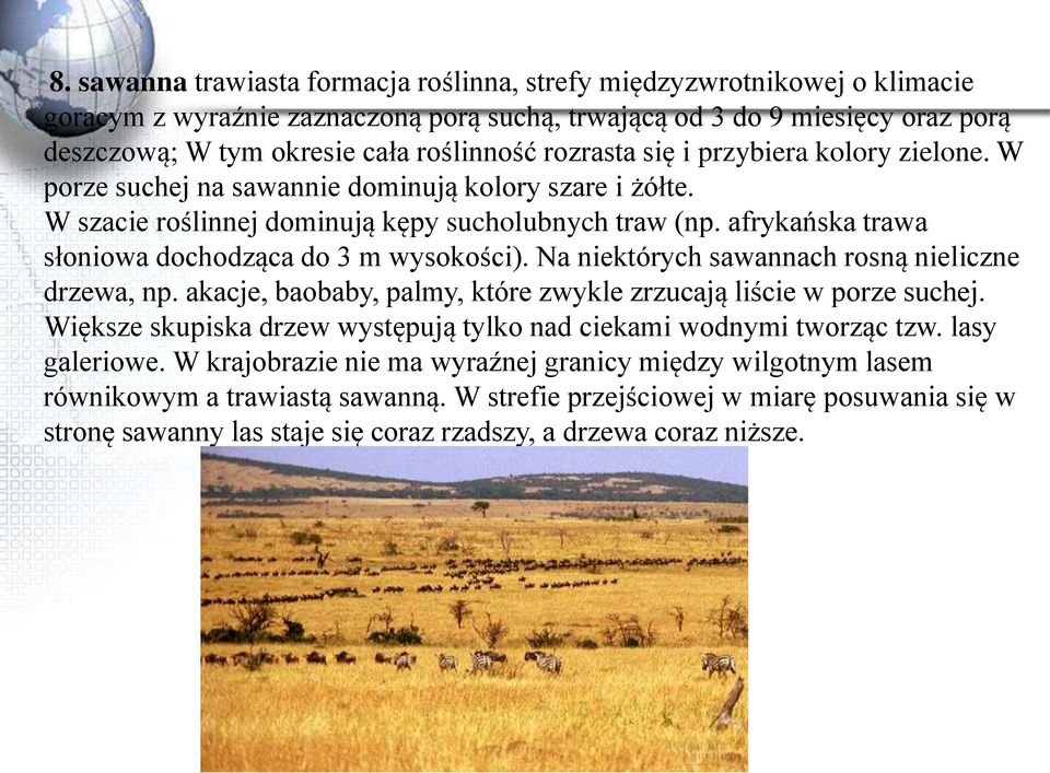 afrykańska trawa słoniowa dochodząca do 3 m wysokości). Na niektórych sawannach rosną nieliczne drzewa, np. akacje, baobaby, palmy, które zwykle zrzucają liście w porze suchej.