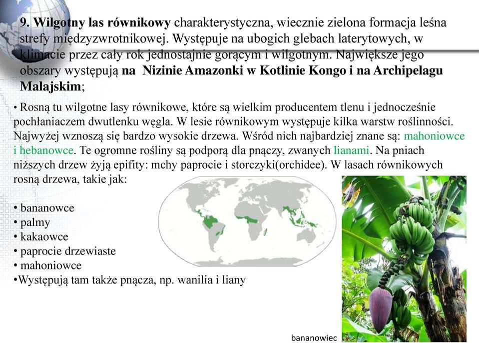 Największe jego obszary występują na Nizinie Amazonki w Kotlinie Kongo i na Archipelagu Malajskim; Rosną tu wilgotne lasy równikowe, które są wielkim producentem tlenu i jednocześnie pochłaniaczem