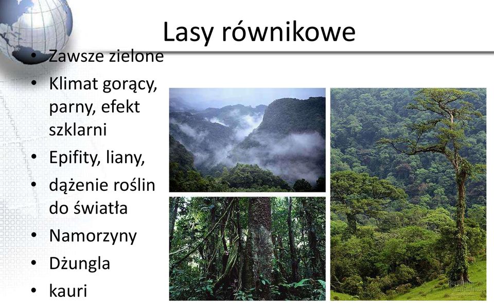 szklarni Epifity, liany, dążenie