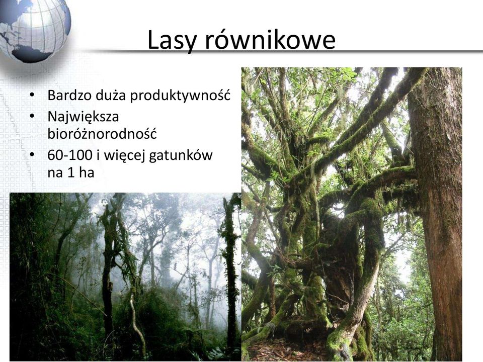 bioróżnorodnośd 60-100 i