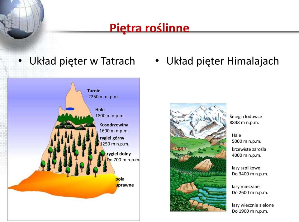 p.m. Hale 5000 m n.p.m. krzewiste zarośla 4000 m n.p.m. lasy szpilkowe Do 3400 m n.p.m. lasy mieszane Do 2600 m n.