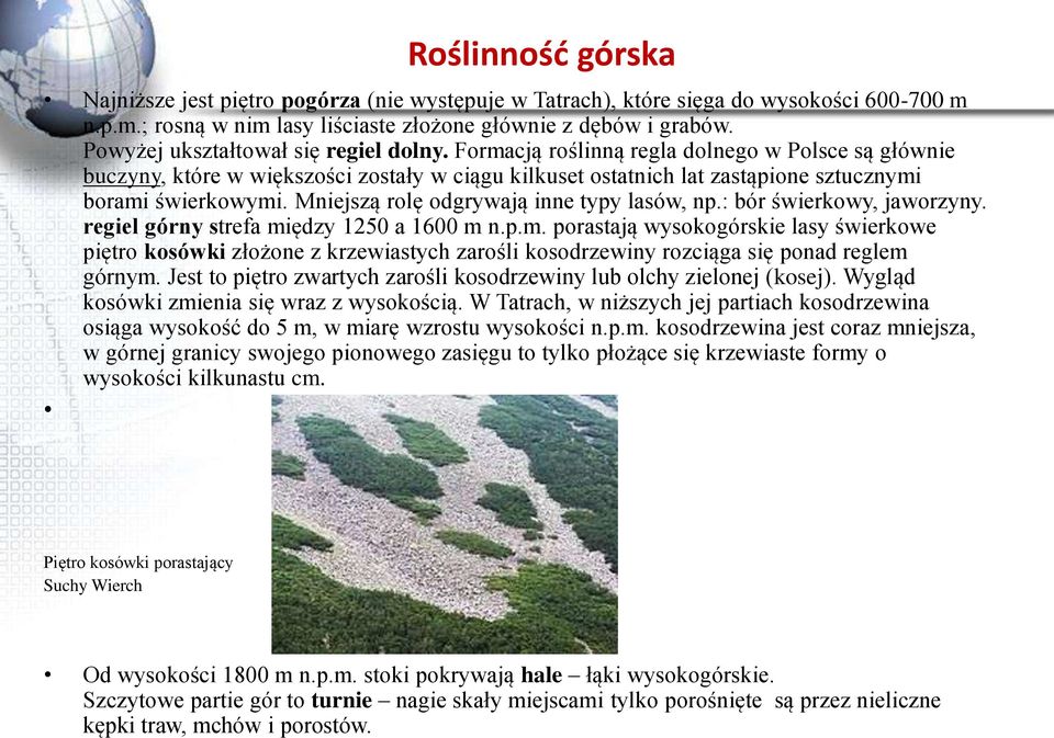 Mniejszą rolę odgrywają inne typy lasów, np.: bór świerkowy, jaworzyny. regiel górny strefa mi
