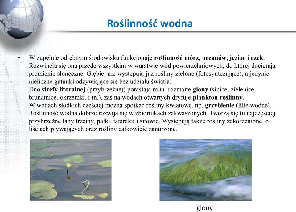 Głębiej nie występują już rośliny zielone (fotosyntezujące), a jedynie nieliczne gatunki odżywiające się bez udziału światła. Dno strefy litoralnej (przybrzeżnej) porastają m.in. rozmaite glony (sinice, zielenice, brunatnice, okrzemki, i in.