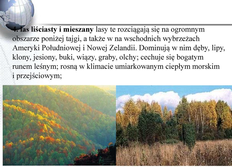 Dominują w nim dęby, lipy, klony, jesiony, buki, wiązy, graby, olchy; cechuje się