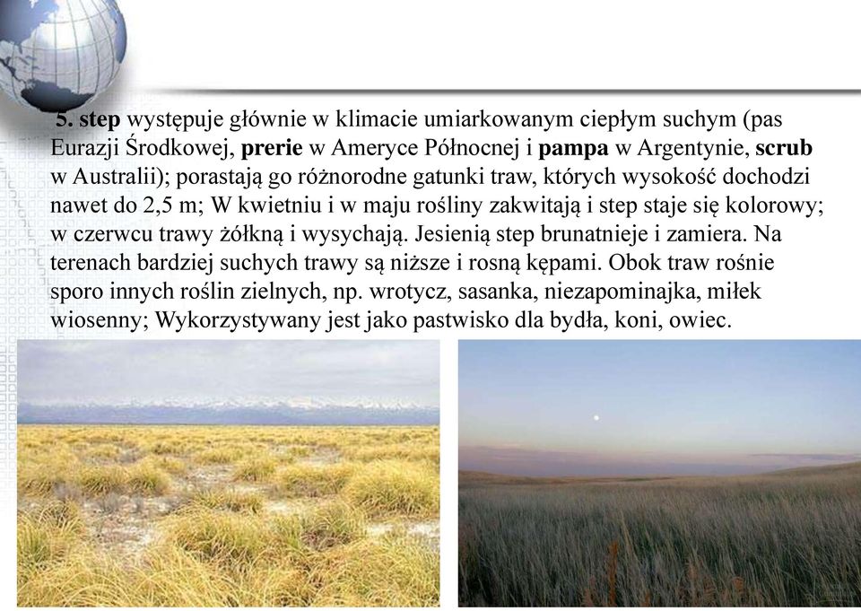 kolorowy; w czerwcu trawy żółkną i wysychają. Jesienią step brunatnieje i zamiera. Na terenach bardziej suchych trawy są niższe i rosną kępami.