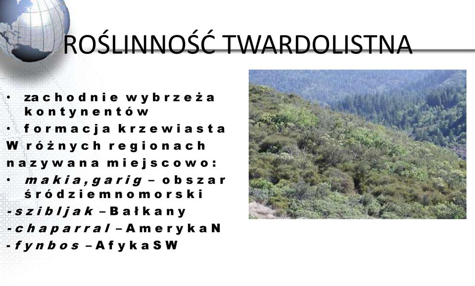s c o w o : m a k i a, g a r i g o b s z a r ś r ó d z i e m n o m o r s k i - s z i b