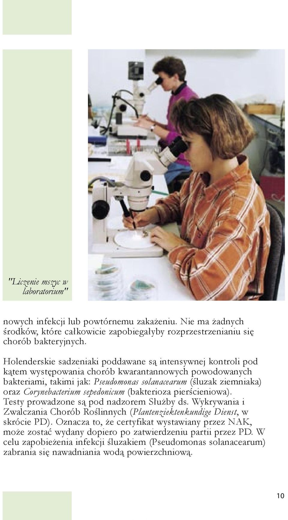 Corynebacterium sepedonicum (bakterioza pierścieniowa). Testy prowadzone są pod nadzorem Służby ds. Wykrywania i Zwalczania Chorób Roślinnych (Plantenziektenkundige Dienst, w skrócie PD).