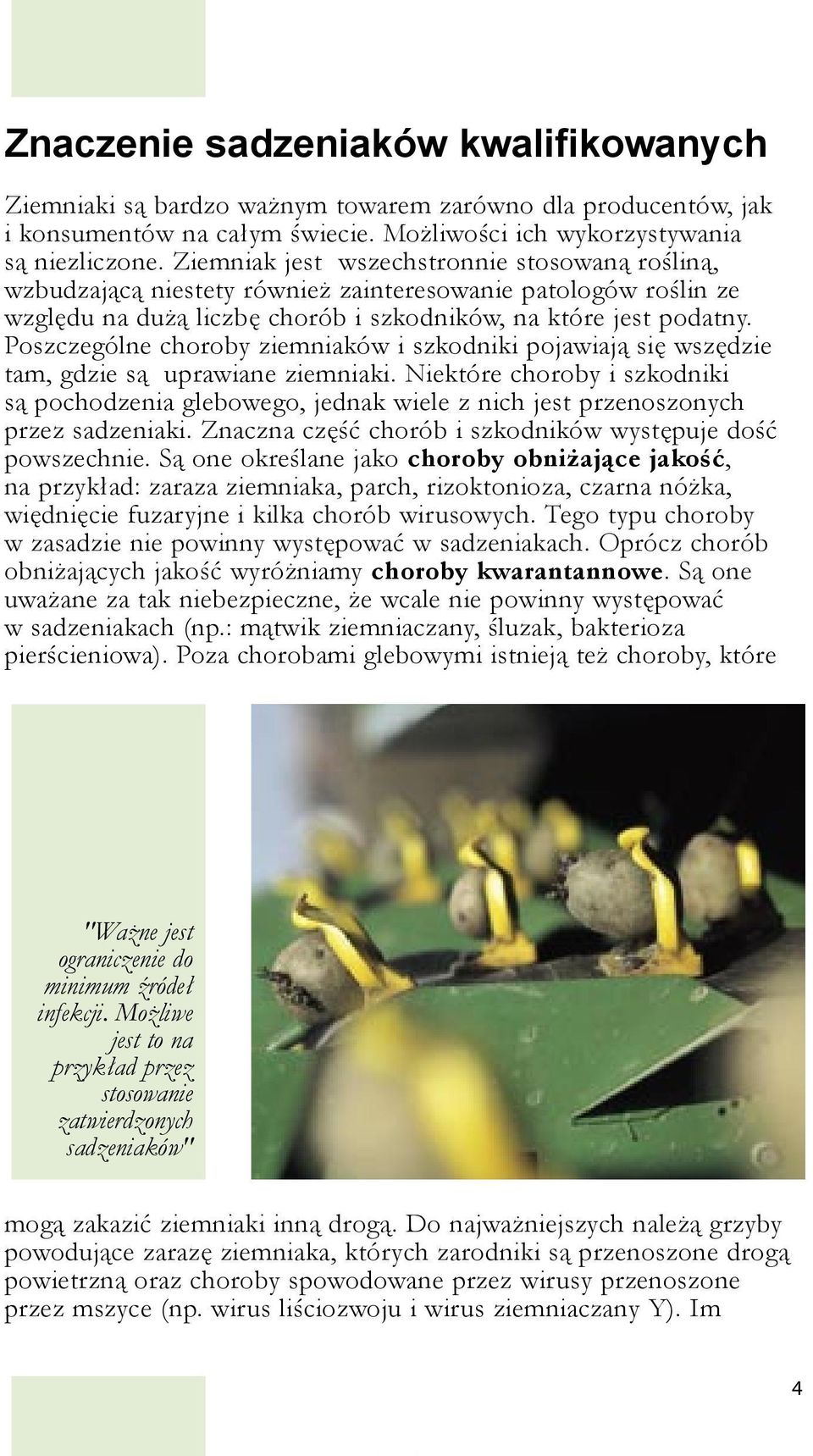 Poszczególne choroby ziemniaków i szkodniki pojawiają się wszędzie tam, gdzie są uprawiane ziemniaki.