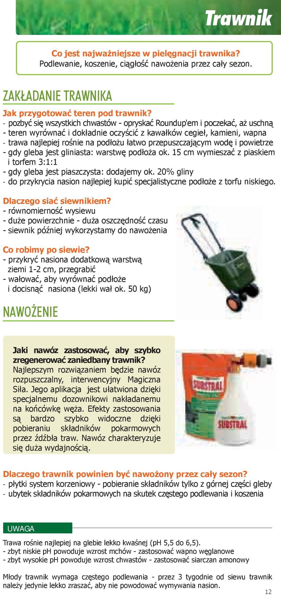 przepuszczającym wodę i powietrze - gdy gleba jest gliniasta: warstwę podłoża ok. 15 cm wymieszać z piaskiem i torfem 3:1:1 - gdy gleba jest piaszczysta: dodajemy ok.