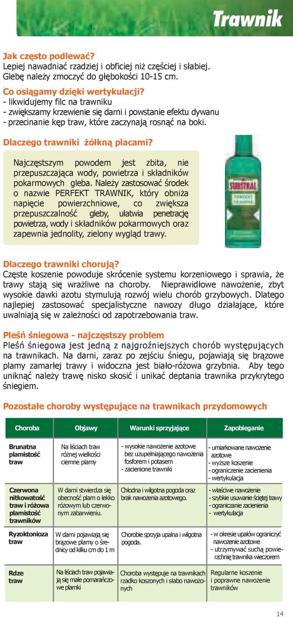 Najczęstszym powodem jest zbita, nie przepuszczająca wody, powietrza i składników pokarmowych gleba.