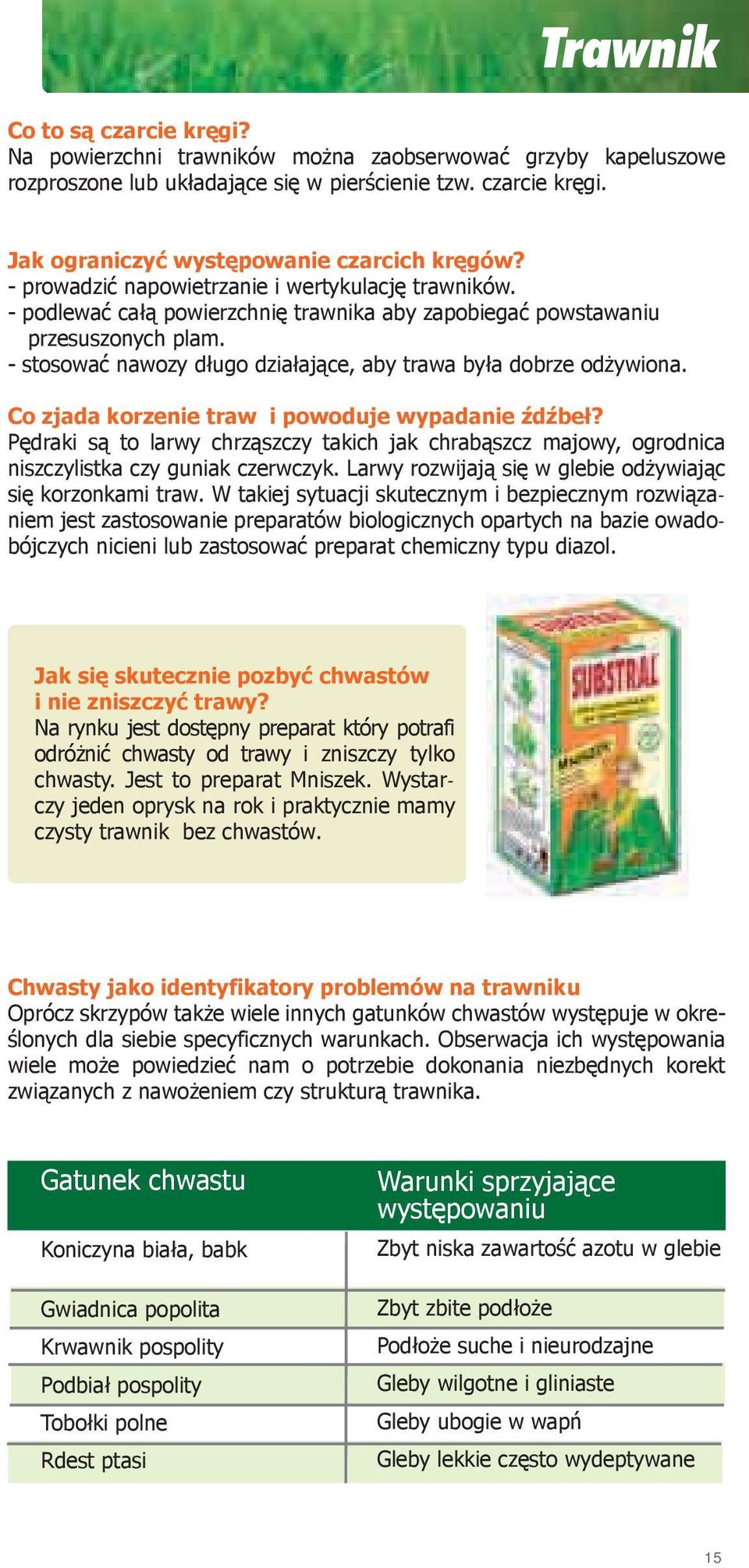 - stosować nawozy długo działające, aby trawa była dobrze odżywiona. Co zjada korzenie traw i powoduje wypadanie źdźbeł?