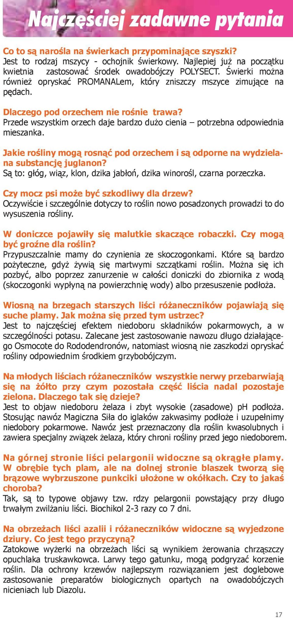 Przede wszystkim orzech daje bardzo dużo cienia potrzebna odpowiednia mieszanka. Jakie rośliny mogą rosnąć pod orzechem i są odporne na wydzielana substancję juglanon?