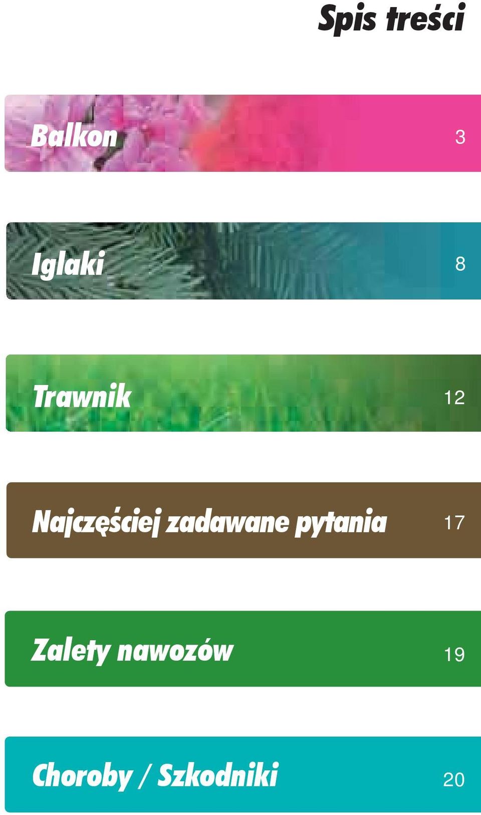 zadawane pytania 17 Zalety
