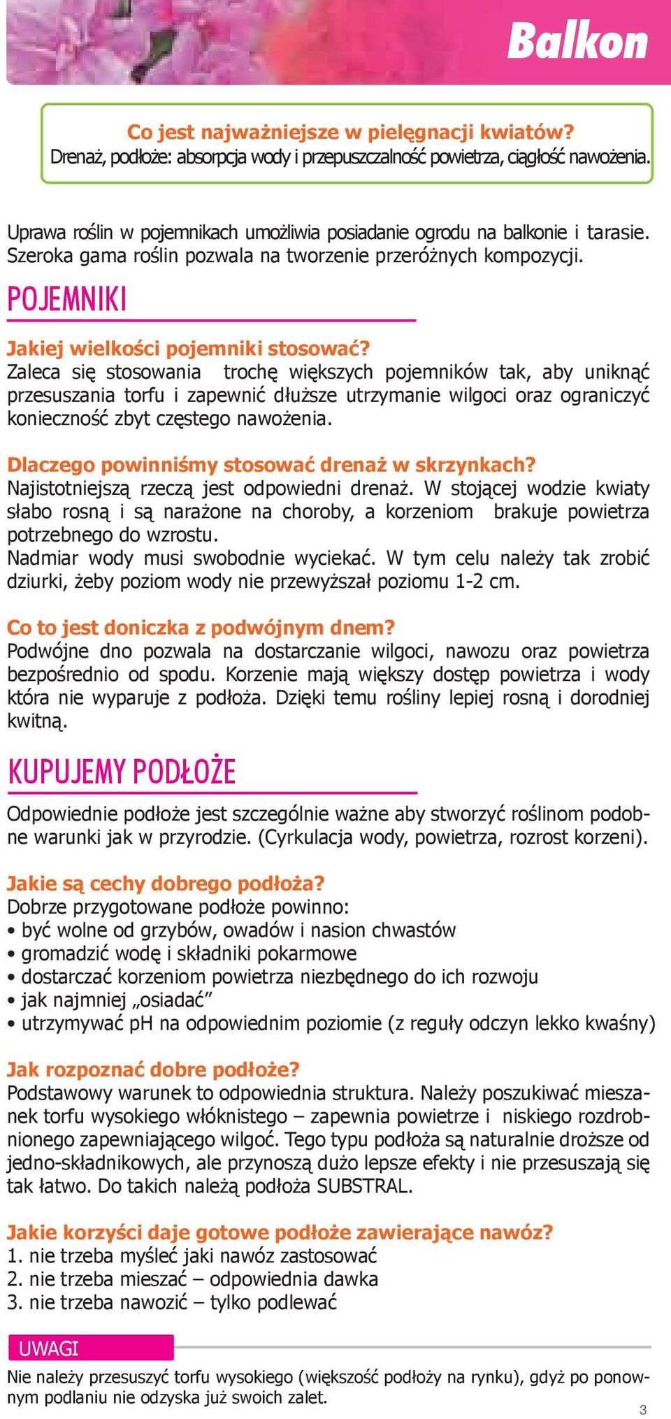 Zaleca się stosowania trochę większych pojemników tak, aby uniknąć przesuszania torfu i zapewnić dłuższe utrzymanie wilgoci oraz ograniczyć konieczność zbyt częstego nawożenia.