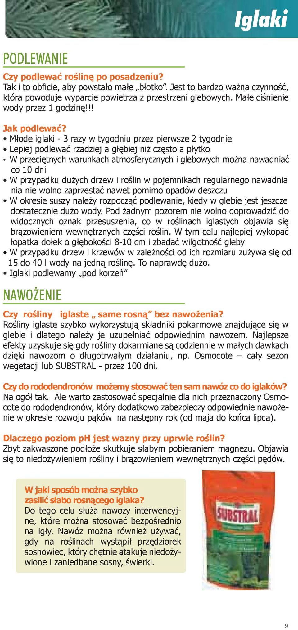 Młode iglaki - 3 razy w tygodniu przez pierwsze 2 tygodnie Lepiej podlewać rzadziej a głębiej niż często a płytko W przeciętnych warunkach atmosferycznych i glebowych można nawadniać co 10 dni W