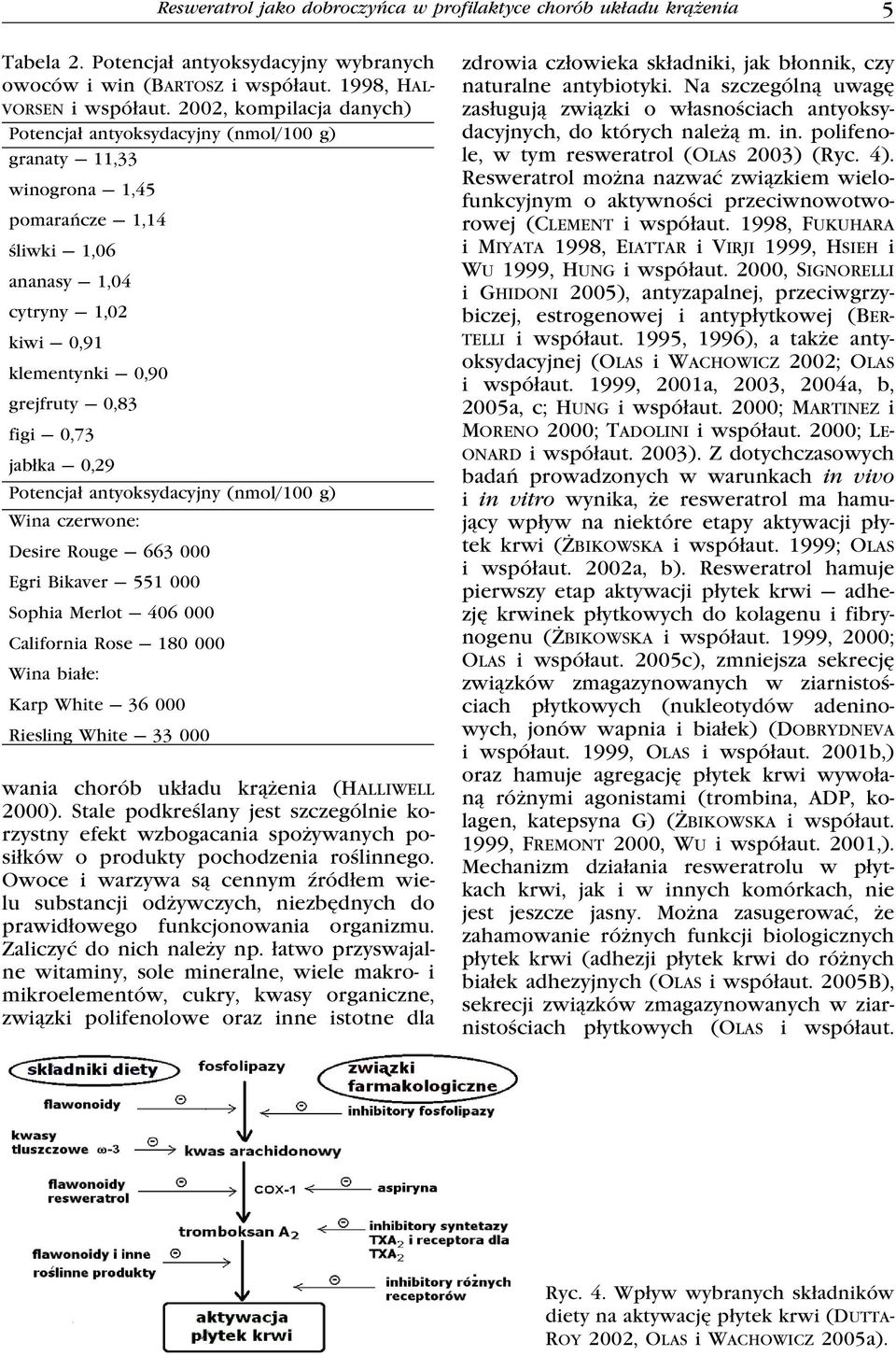 jabłka 0,29 Potencjał antyoksydacyjny (nmol/100 g) Wina czerwone: Desire Rouge 663 000 Egri Bikaver 551 000 Sophia Merlot 406 000 California Rose 180 000 Wina białe: Karp White 36 000 Riesling White