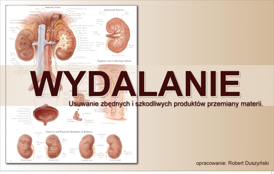 produktów przemiany