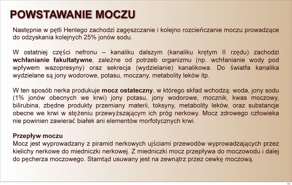 wchłanianie wody pod wpływem wazopresyny) oraz sekrecja (wydzielanie) kanalikowa. Do światła kanalika wydzielane są jony wodorowe, potasu, moczany, metabolity leków itp.