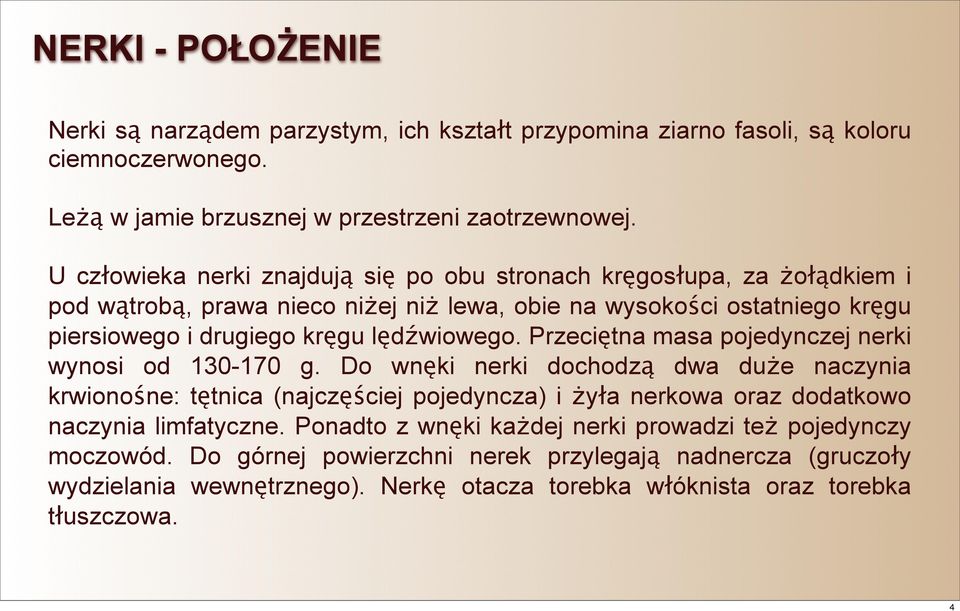 lędźwiowego. Przeciętna masa pojedynczej nerki wynosi od 130-170 g.