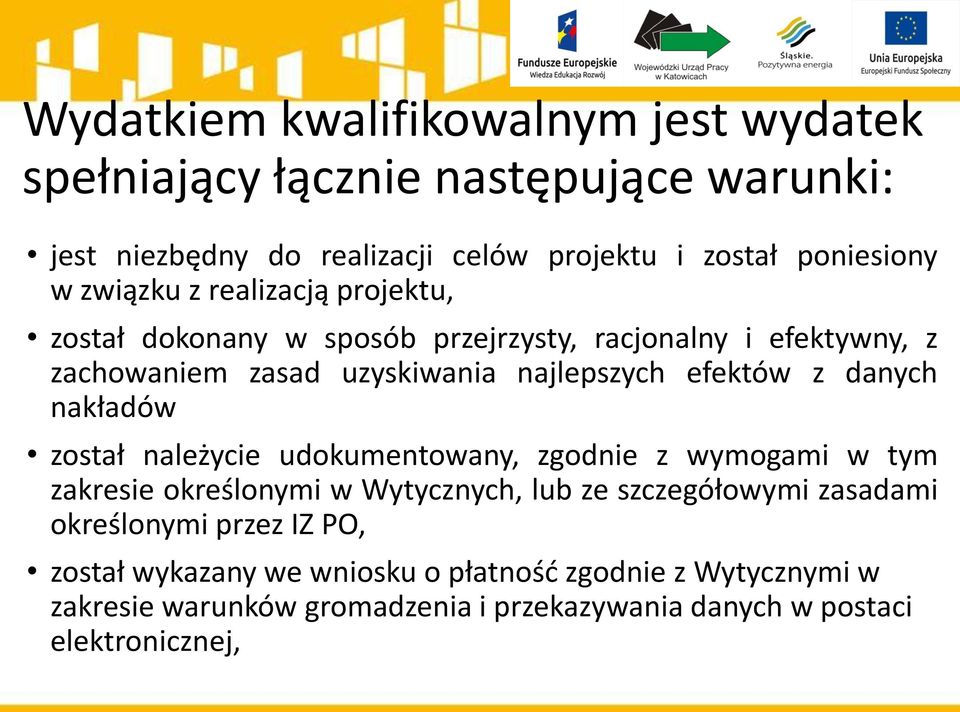 danych nakładów został należycie udokumentowany, zgodnie z wymogami w tym zakresie określonymi w Wytycznych, lub ze szczegółowymi zasadami