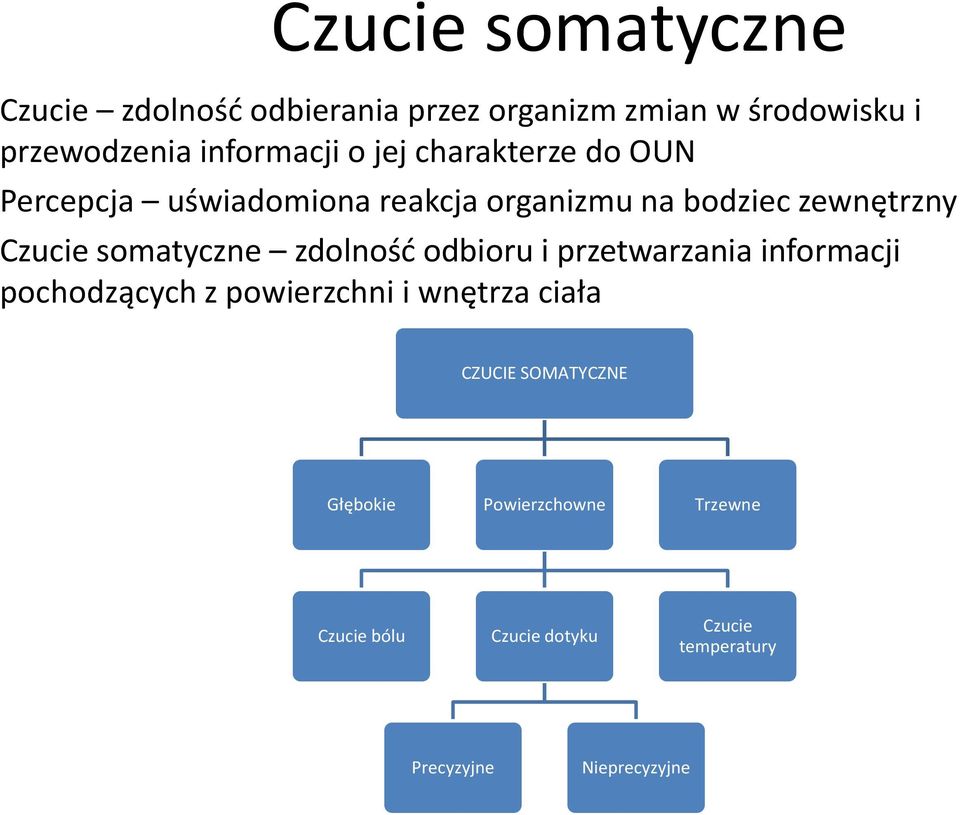 Czucie somatyczne zdolność odbioru i przetwarzania informacji pochodzących z powierzchni i wnętrza