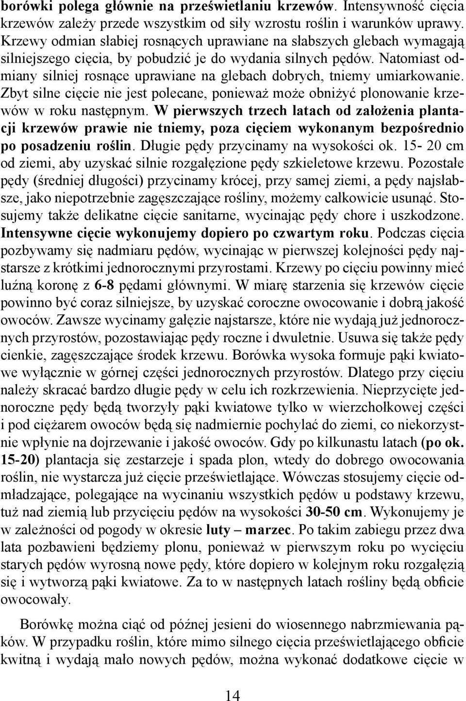 Natomiast odmiany silniej rosnące uprawiane na glebach dobrych, tniemy umiarkowanie. Zbyt silne cięcie nie jest polecane, ponieważ może obniżyć plonowanie krzewów w roku następnym.