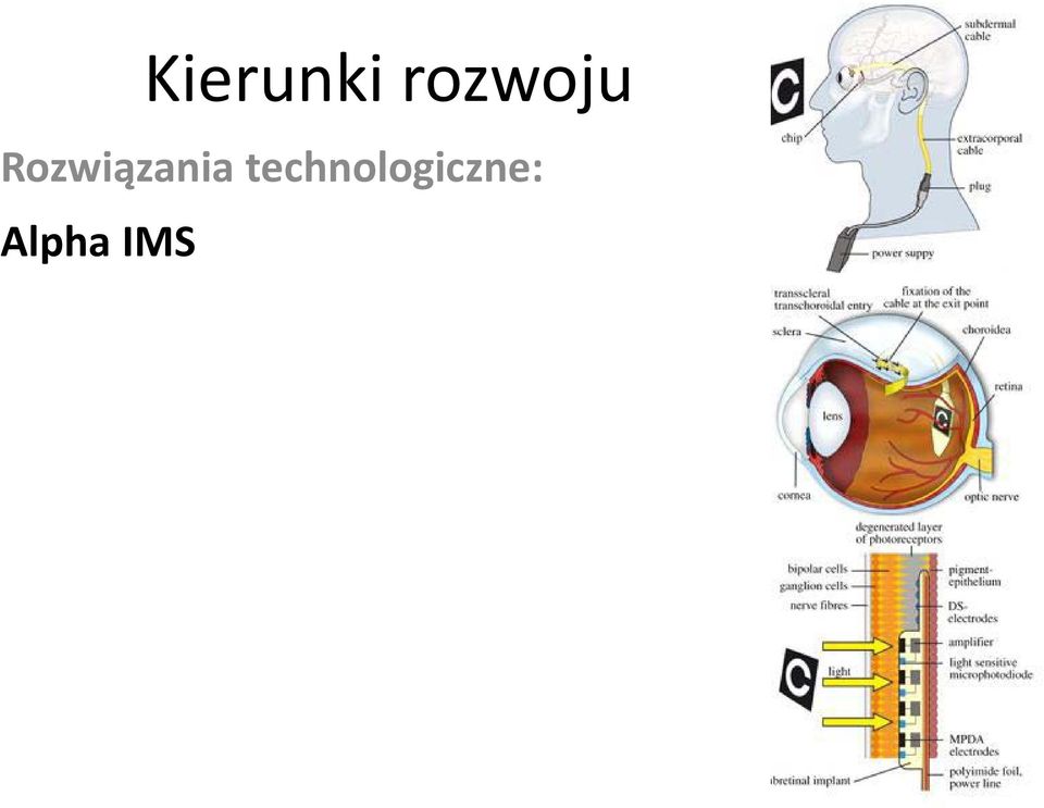 rozwoju