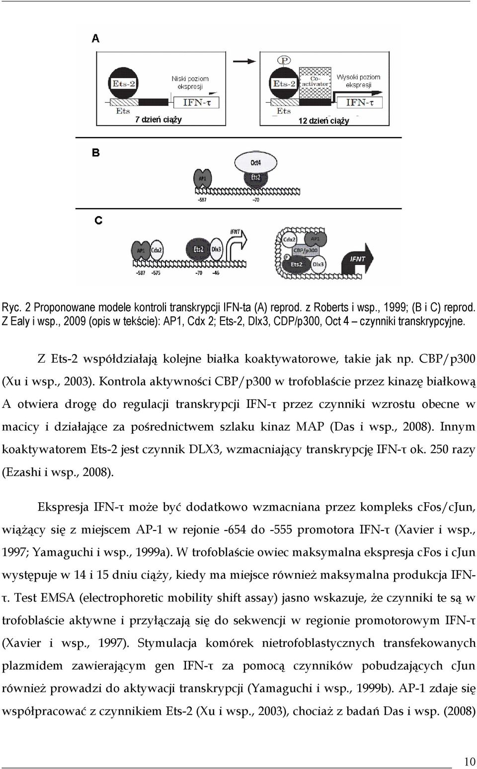 Kontrola aktywności CBP/p300 w trofoblaście przez kinazę białkową A otwiera drogę do regulacji transkrypcji IFN-τ przez czynniki wzrostu obecne w macicy i działające za pośrednictwem szlaku kinaz MAP