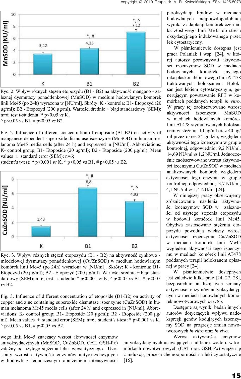 Influence of different concentration of etoposide (B1-B2) on activity of manganese dependent superoxide dismutase isoenzyme (MnSOD) in human melanoma Me45 media cells (after 24 h) and expressed in