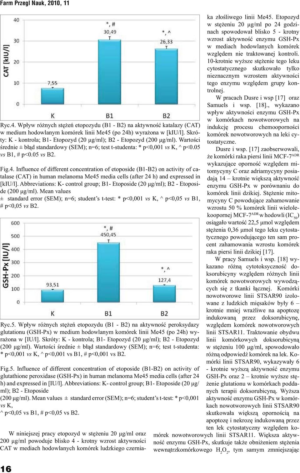 Influence of different concentration of etoposide (B1-B2) on activity of catalase (CAT) in human melanoma Me45 media cells (after 24 h) and expressed in [kiu/l].