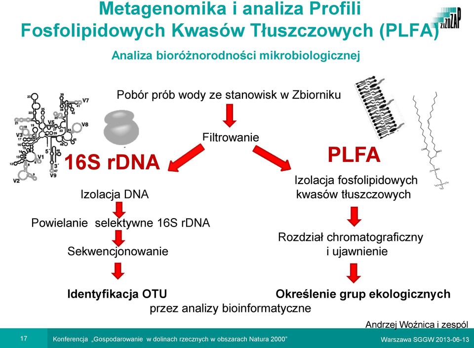 16S rdna Sekwencjonowanie Rozdział chromatograficzny i ujawnienie Identyfikacja OTU Określenie grup ekologicznych przez analizy