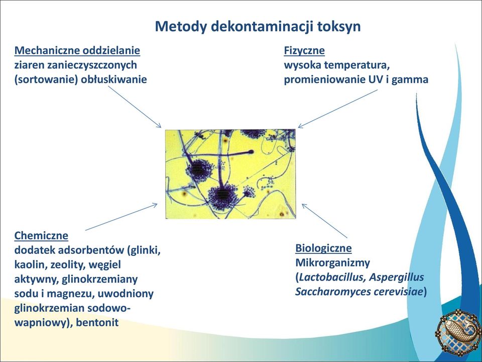 (glinki, kaolin, zeolity, węgiel aktywny, glinokrzemiany sodu i magnezu, uwodniony glinokrzemian