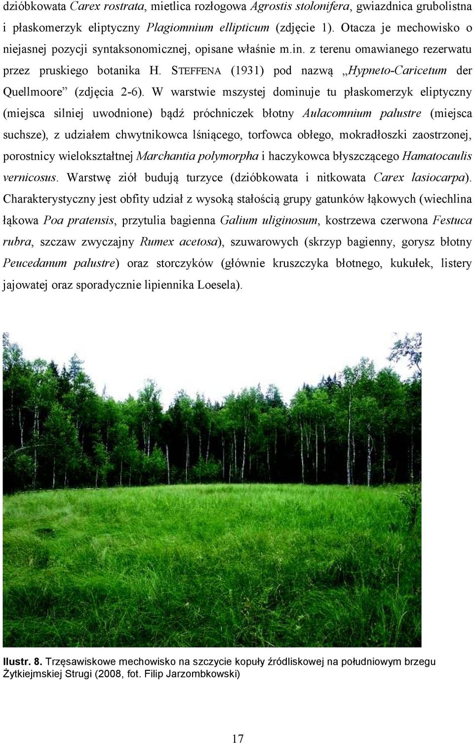 STEFFENA (1931) pod nazwą Hypneto-Caricetum der Quellmoore (zdjęcia 2-6).