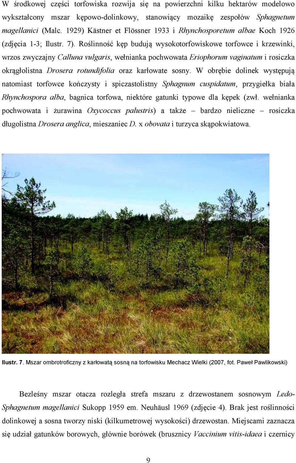 Roślinność kęp budują wysokotorfowiskowe torfowce i krzewinki, wrzos zwyczajny Calluna vulgaris, wełnianka pochwowata Eriophorum vaginatum i rosiczka okrągłolistna Drosera rotundifolia oraz karłowate