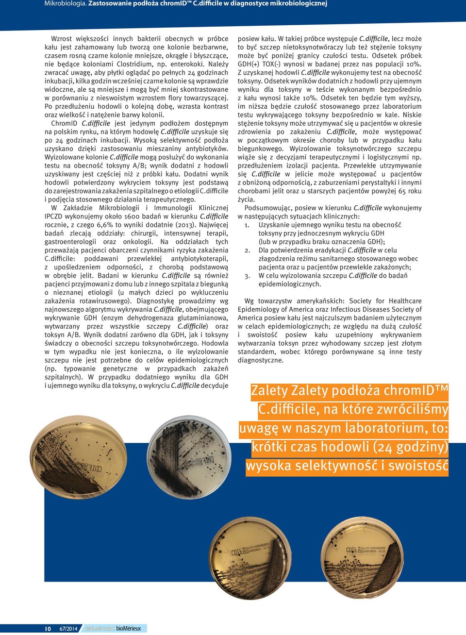 błyszczące, nie będące koloniami Clostridium, np. enterokoki.