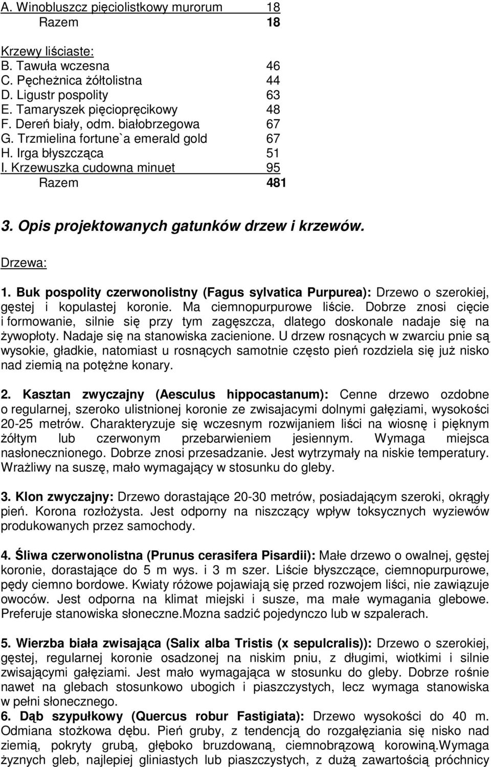 Buk pospolity czerwonolistny (Fagus sylvatica Purpurea): Drzewo o szerokiej, gęstej i kopulastej koronie. Ma ciemnopurpurowe liście.