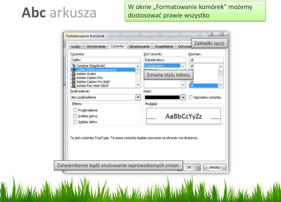 opcji Zmiana stylu tekstu