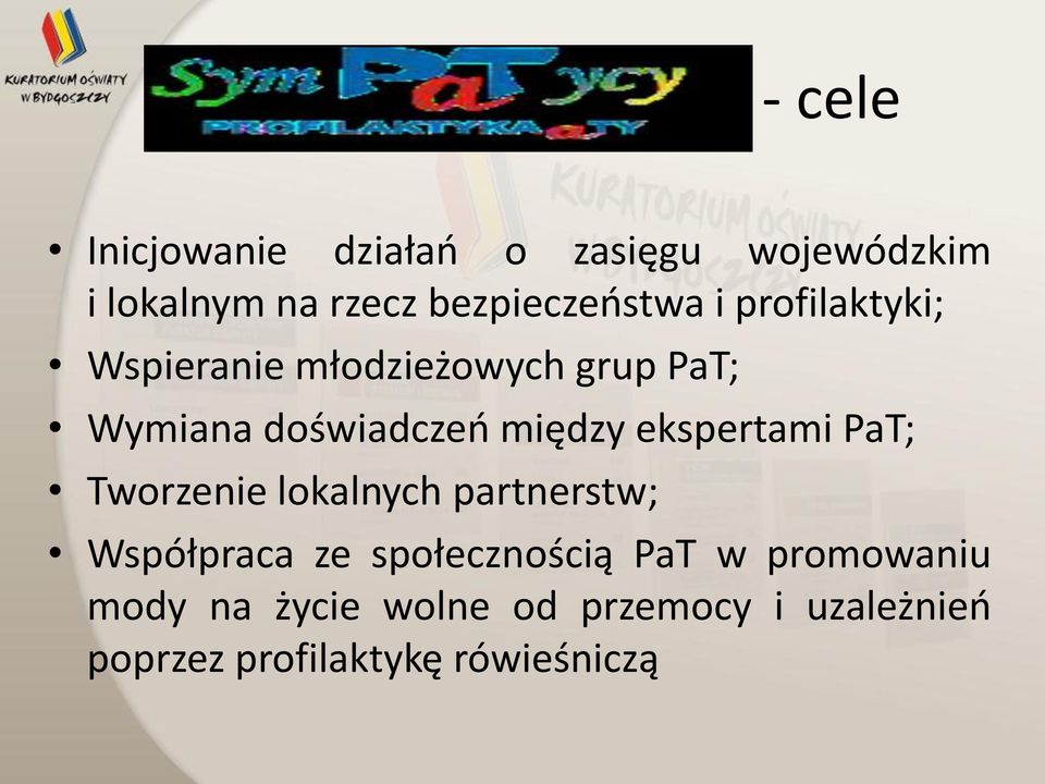 między ekspertami PaT; Tworzenie lokalnych partnerstw; Współpraca ze społecznością