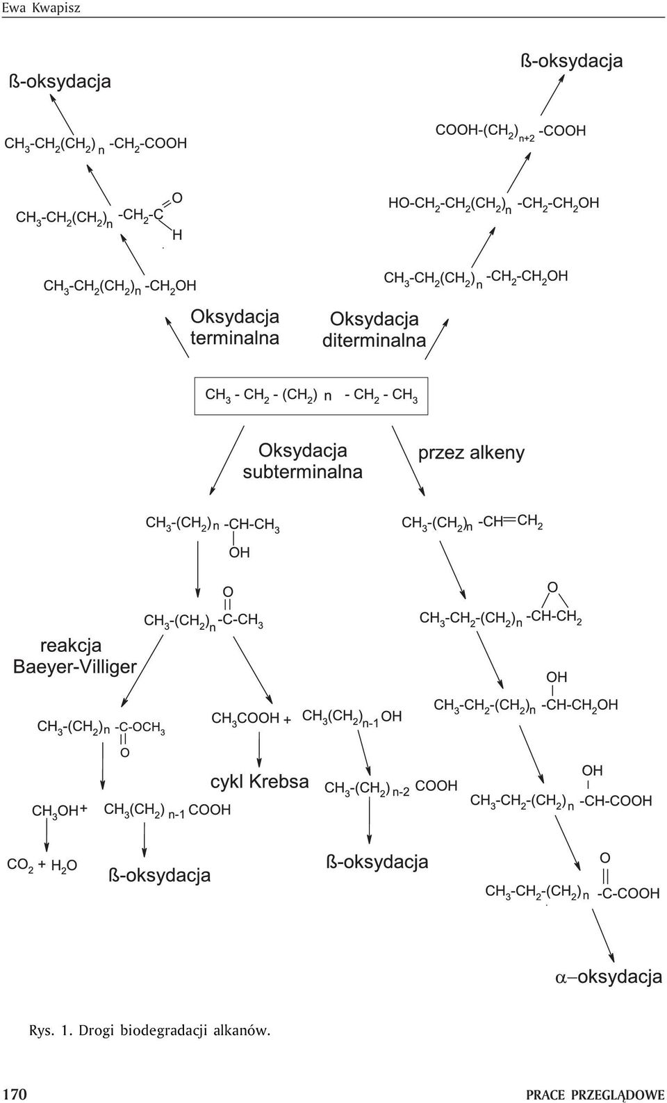 biodegradacji