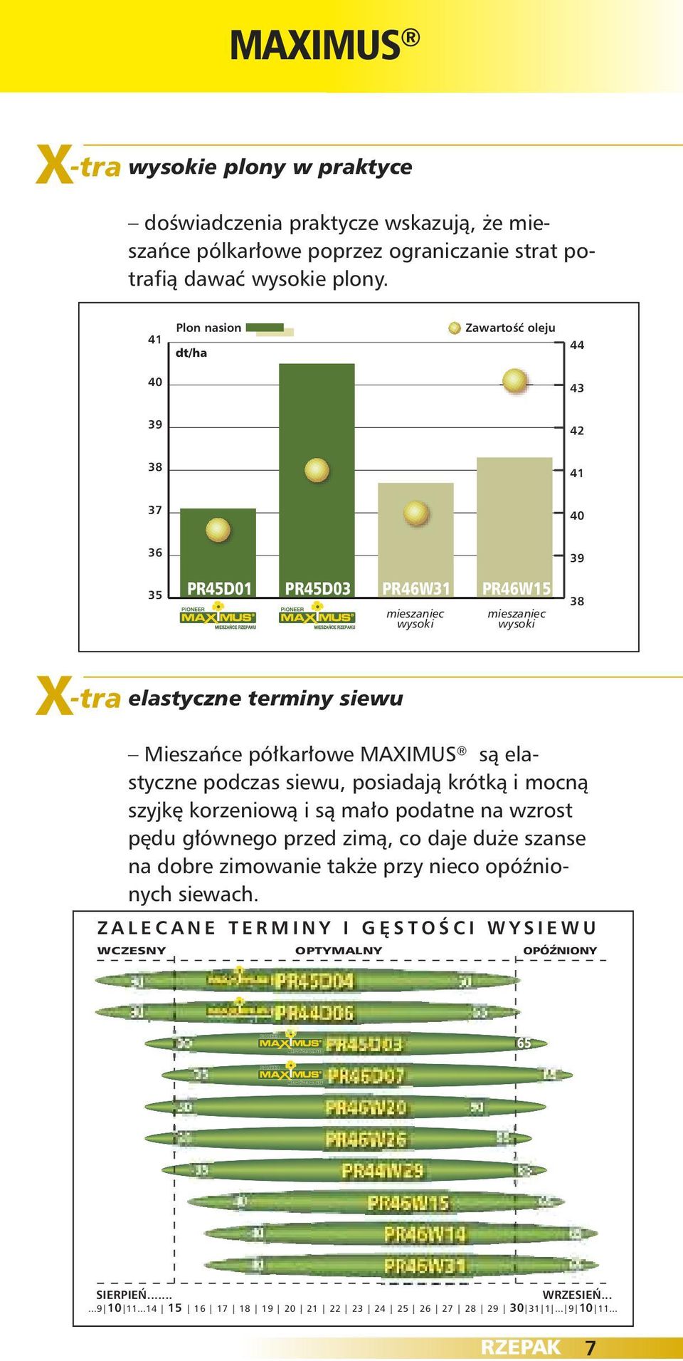 podczas siewu, posiadają krótką i mocną szyjkę korzeniową i są mało podatne na wzrost pędu głównego przed zimą, co daje duże szanse na dobre zimowanie także
