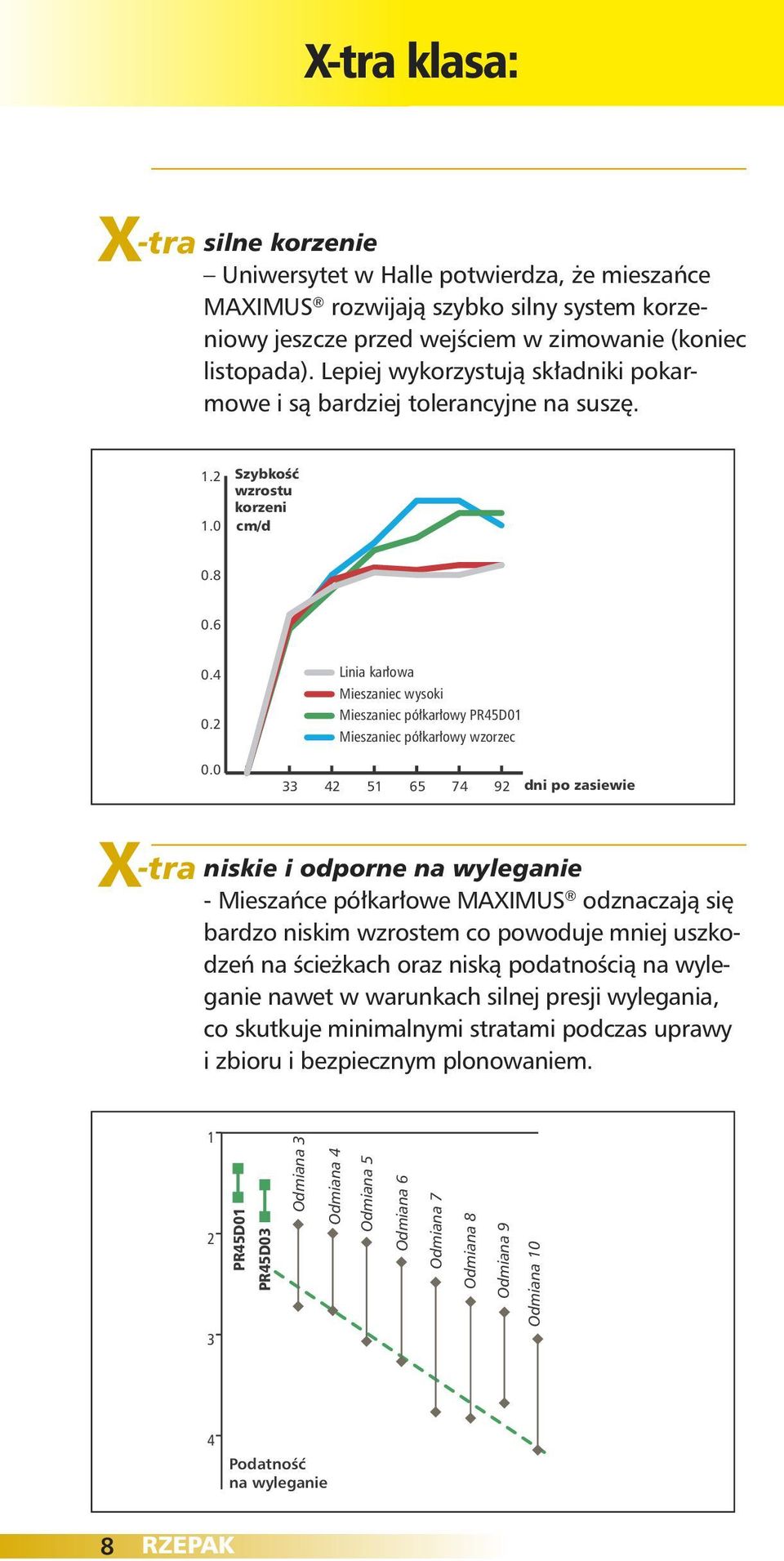 zasiewie X -tra niskie i odporne na wyleganie - Mieszańce półkarłowe MAXIMUS odznaczają się bardzo niskim wzrostem co powoduje mniej uszkodzeń na ścieżkach oraz niską podatnością na wyleganie nawet w