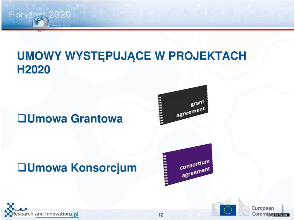 H2020 Umowa