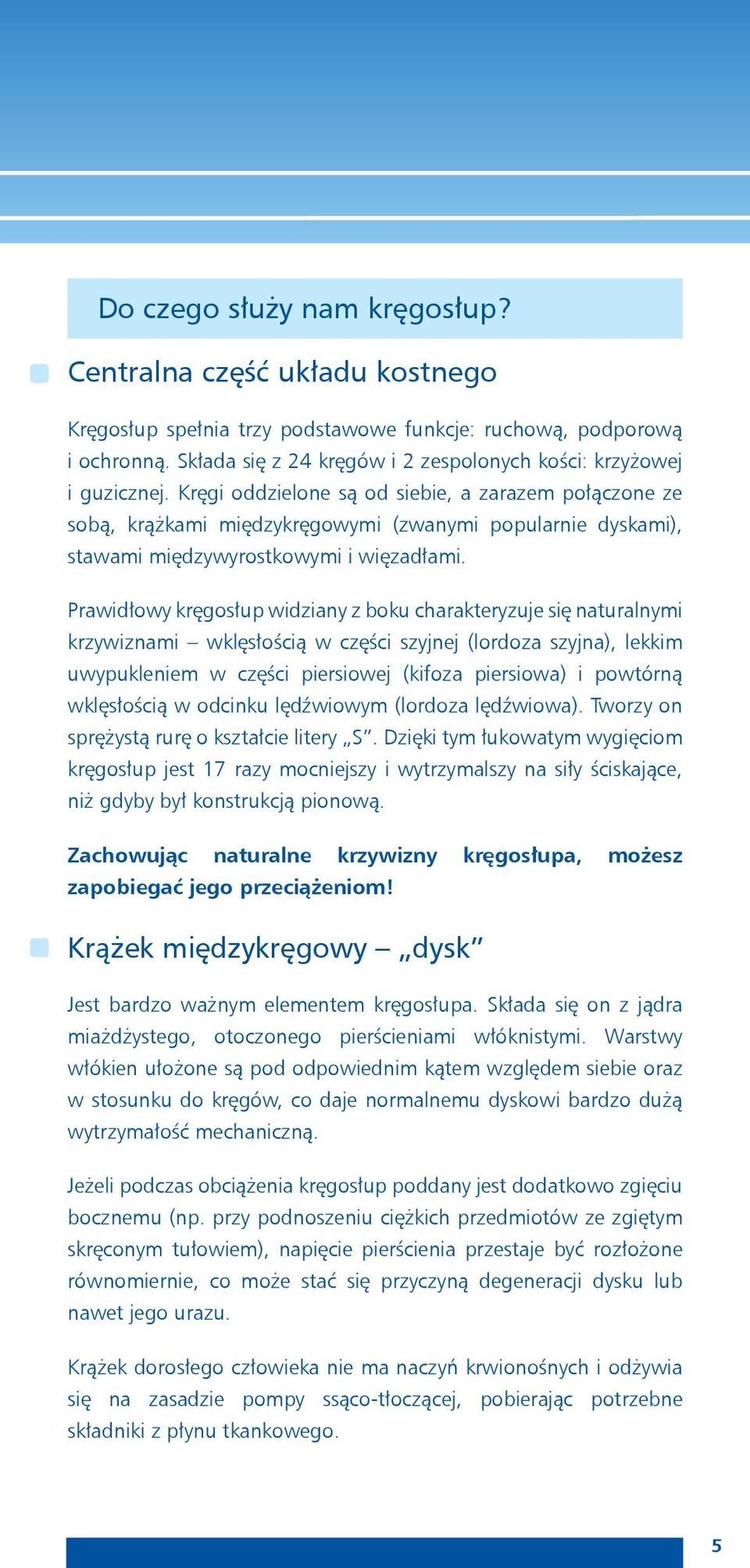 Kręgi oddzielone są od siebie, a zarazem połączone ze sobą, krążkami międzykręgowymi (zwanymi popularnie dyskami), stawami międzywyrostkowymi i więzadłami.