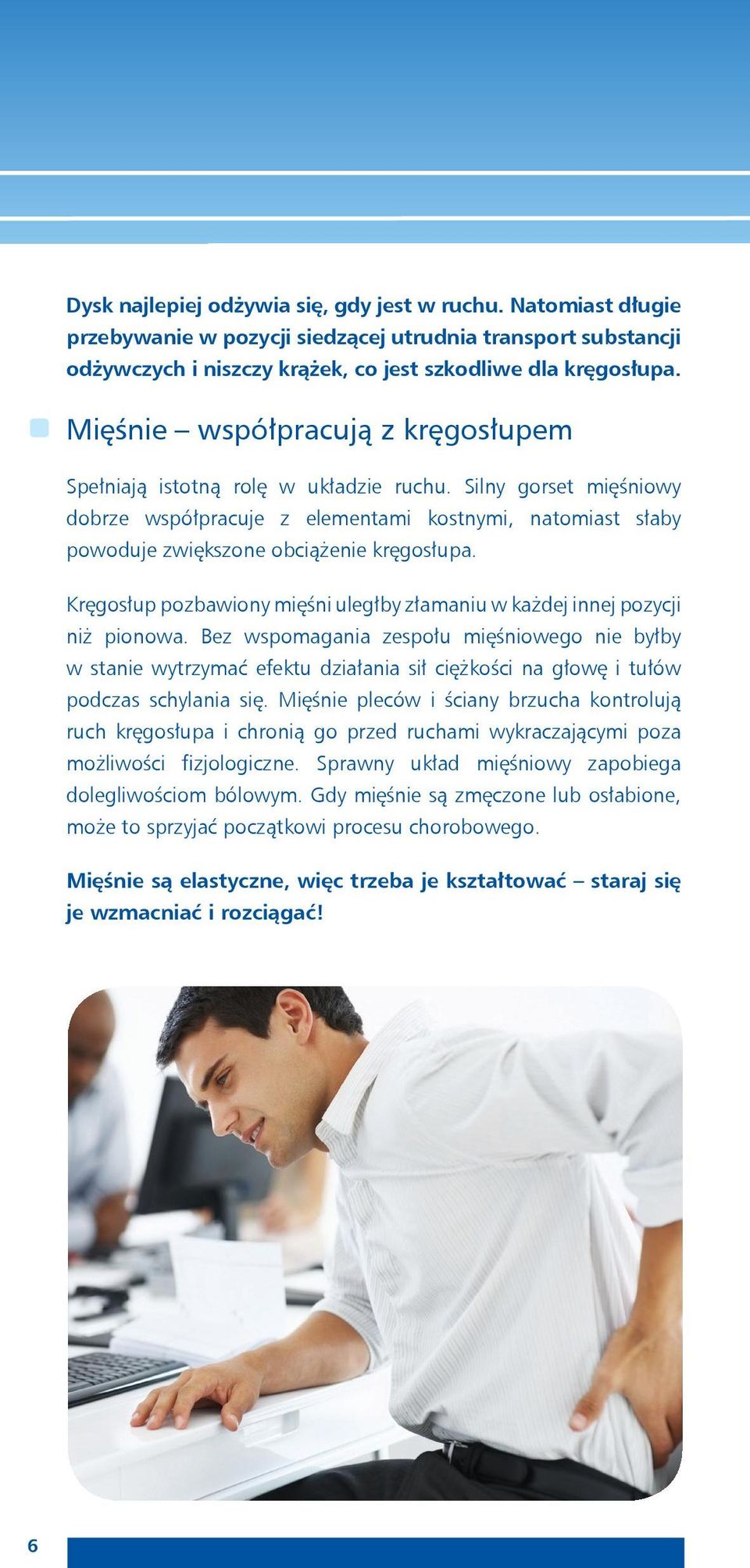 Kręgosłup pozbawiony mięśni uległby złamaniu w każdej innej pozycji niż pionowa.