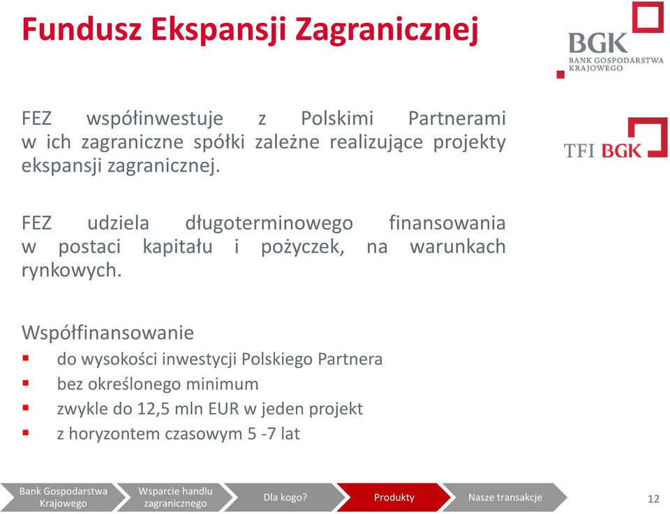 FEZ udziela długoterminowego finansowania w postaci kapitału i pożyczek, na warunkach rynkowych.